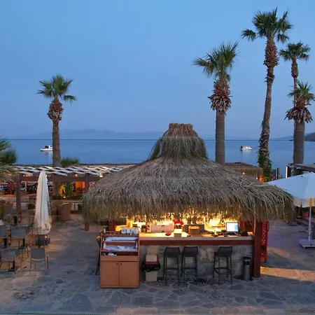 Otel Zuzuu Ortakent