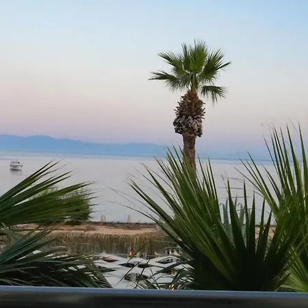 Zuzuu Otel Ortakent